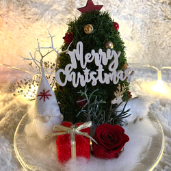 新作早割クリスマス2023 プリザーブドドライフラワーガラスドーム バラとヒムロスギツリー サンタトナカイプレゼント 9枚目の画像