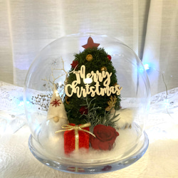 新作早割クリスマス2023 プリザーブドドライフラワーガラスドーム バラとヒムロスギツリー サンタトナカイプレゼント 12枚目の画像