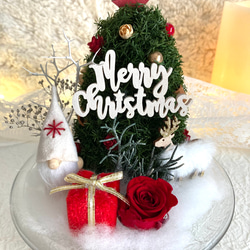 新作早割クリスマス2023 プリザーブドドライフラワーガラスドーム バラとヒムロスギツリー サンタトナカイプレゼント 3枚目の画像