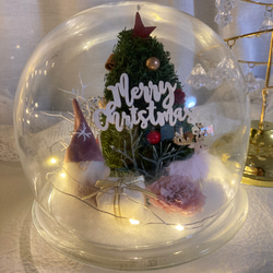 新作早割クリスマス2023 プリザーブドドライフラワーガラスドーム バラとヒムロスギツリー サンタトナカイプレゼント 19枚目の画像