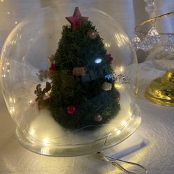 新作早割クリスマス2023 プリザーブドドライフラワーガラスドーム バラとヒムロスギツリー サンタトナカイプレゼント 20枚目の画像