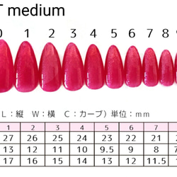 【サイズオーダー】べっこうネイルチップ 7枚目の画像