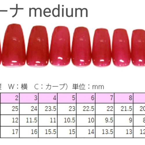 サイズオーダー】べっこうネイルチップ ネイルチップ（つけ爪） Lamu