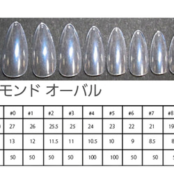 【サイズオーダー】べっこうネイルチップ 4枚目の画像