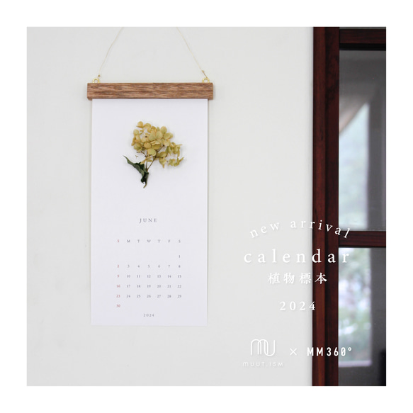 【植物標本カレンダー2024 木製バー付】 13枚目の画像