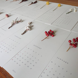 【植物標本カレンダー2024 木製バー付】 7枚目の画像