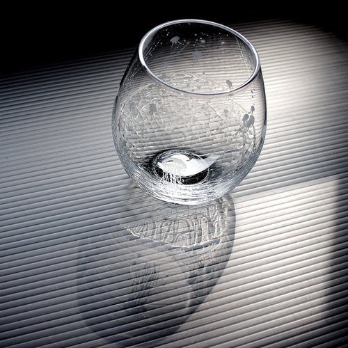 アクアリウムくらげ（純浮游海月） グラス ART空（アートクー