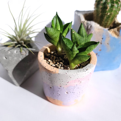 セメント鉢　ミニpot　ピンク　マーブル　cement pot//PINK　植木鉢 1枚目の画像