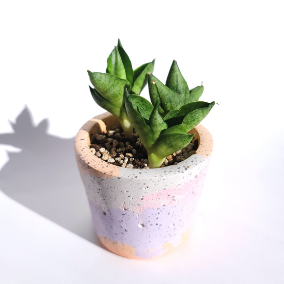 セメント鉢　ミニpot　ピンク　マーブル　cement pot//PINK　植木鉢 2枚目の画像