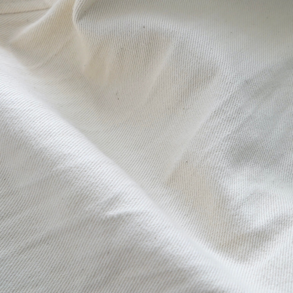 寬鬆的 Shigotonin 連身衣/米色/Mikawa 紡織品 第13張的照片