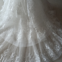 豪華！米白色婚紗，精緻蕾絲，華麗拖裾，婚禮/招待會 第11張的照片