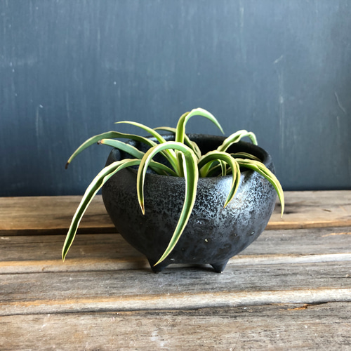 2種類の黒釉薬の脚付き植木鉢カバー 送料無料 その他インテリア雑貨