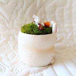 アニマルポット『うさぎちゃん(ホワイトver')』 5枚目の画像