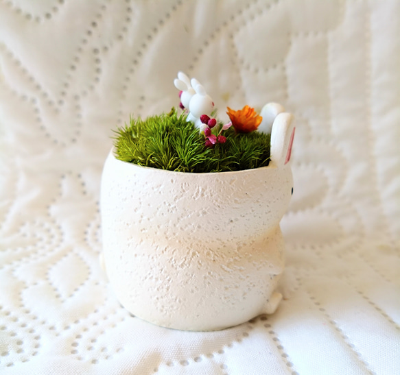 アニマルポット『うさぎちゃん(ホワイトver')』 5枚目の画像