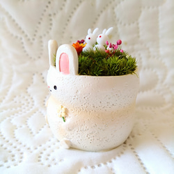 アニマルポット『うさぎちゃん(ホワイトver')』 3枚目の画像