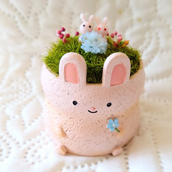 アニマルポット『うさぎちゃん(ピンクver')』 1枚目の画像