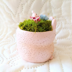 アニマルポット『うさぎちゃん(ピンクver')』 5枚目の画像