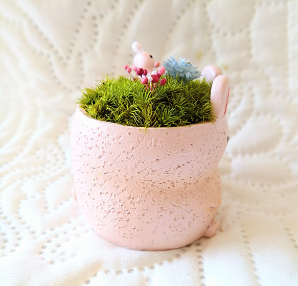 アニマルポット『うさぎちゃん(ピンクver')』 5枚目の画像