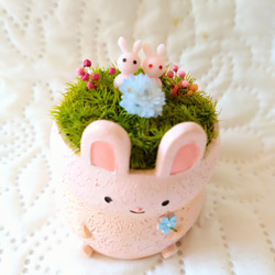 アニマルポット『うさぎちゃん(ピンクver')』 2枚目の画像