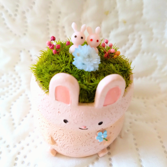 アニマルポット『うさぎちゃん(ピンクver')』 2枚目の画像