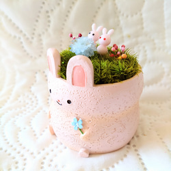 アニマルポット『うさぎちゃん(ピンクver')』 3枚目の画像