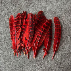 送料無料【ki1 赤】5枚キジ 鳥の羽根 フェザー 素材 パーツ ドリームキャッチャー 3枚目の画像