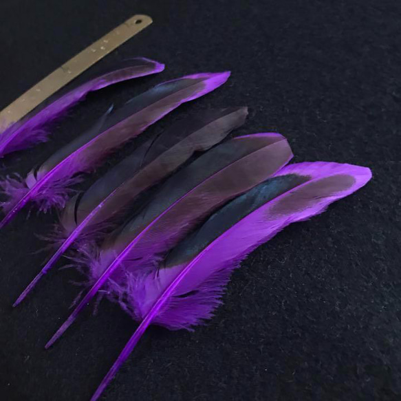 送料無料【CF紫】キジ 鳥の羽根 フェザー 素材 パーツ ドリームキャッチャー 3枚目の画像