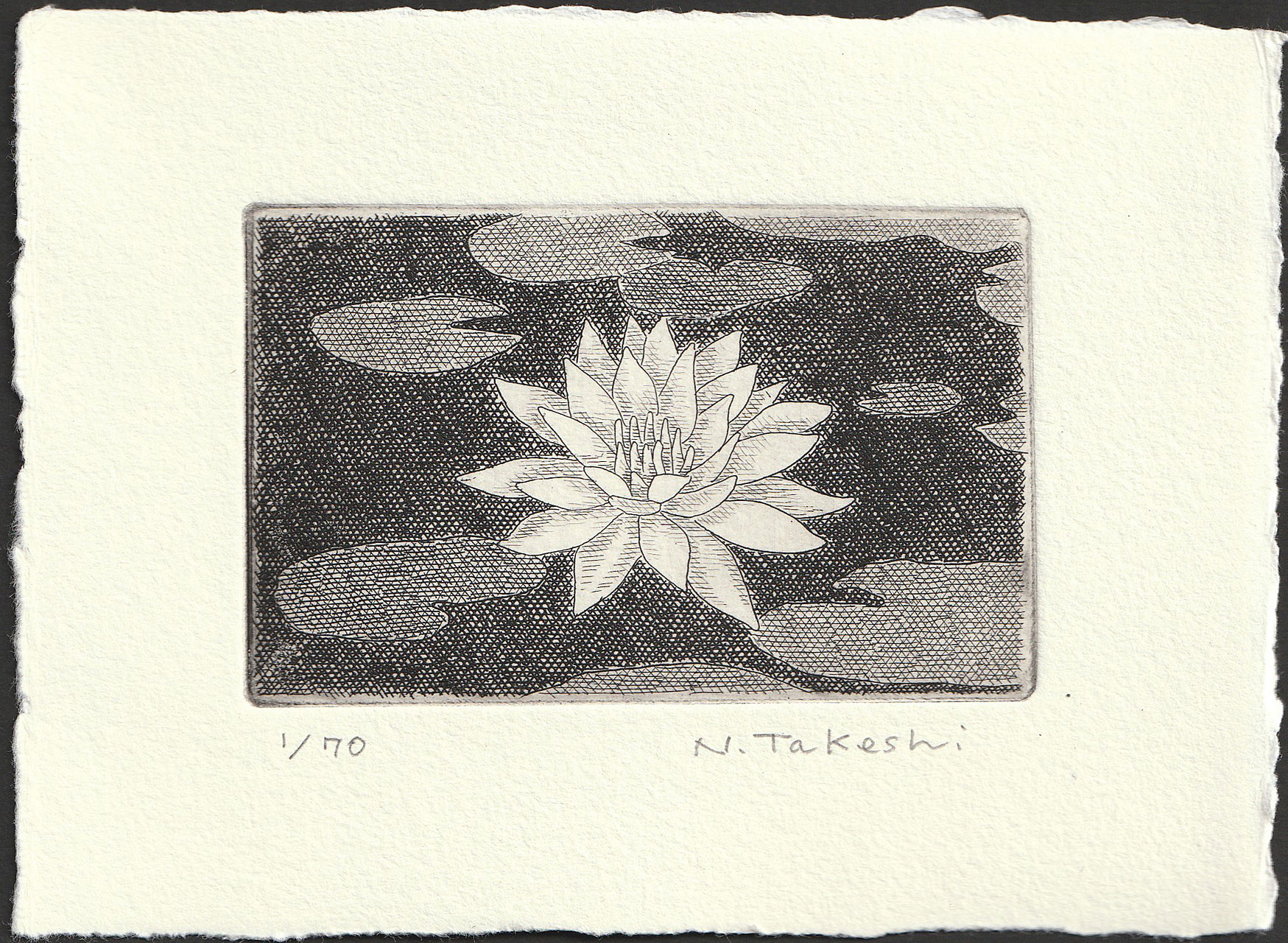 水墨画 睡蓮 黒色フレーム付き 睡蓮・2023B/銅版画(作品のみ） 版画 Atelie Gray 通販 16605146