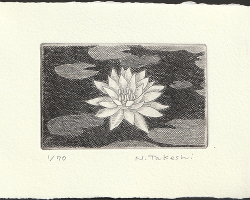 睡蓮・2023B/銅版画(作品のみ） 版画 Atelie Gray 通販 16605146