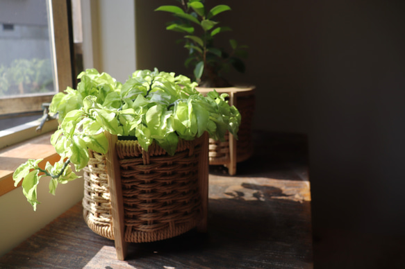 プランターカバー（鉢カバー）ペーパーコード　※写真の植物は商品に含まれません 8枚目の画像