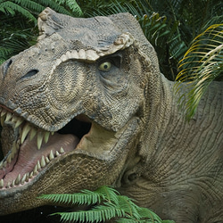 恐竜のお弁当袋　渋かっこいい　オリジナル　恐竜骨格（カーキ）　入園✧入学 5枚目の画像