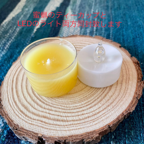 ボタニカルジェルキャンドルホルダー＊purple/蜜蝋ティーカップ・LED