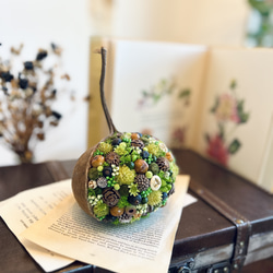 7】☆ＹＲ☆様☘️ブッダナッツ☘️ニュアンスライトグリーン☘️フラワーアレンジメント 7】☆YR☆様☘️ブッダナッツ☘️ニュアンスライトグリーン