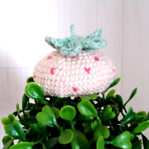 受注制作 いちごベレー帽 プチ▫ミディ▫ネオブライス用 その他人形