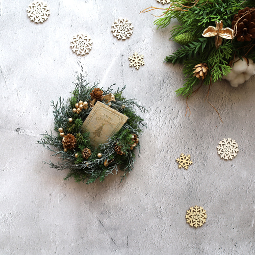 SALE】ポポラスベリーとブルーアイスのcuteハーフリース