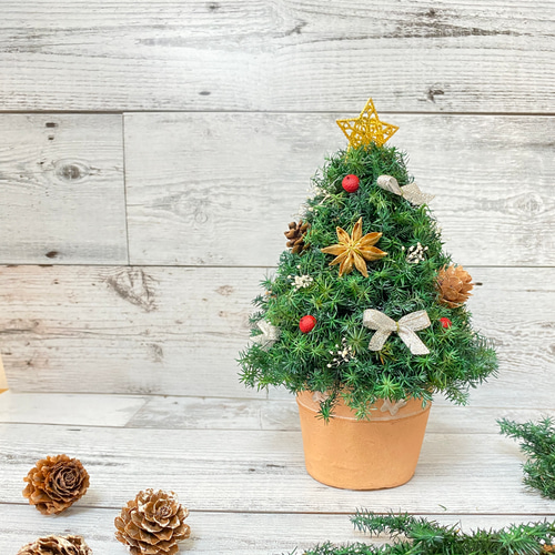 卓上サイズ(高さ約20cm) プリザーブドフラワーのミニクリスマスツリー