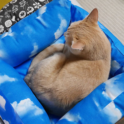 sale★ソファー猫ベッド/水色空 12枚目の画像