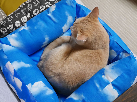 sale★ソファー猫ベッド/水色空 12枚目の画像