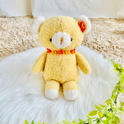 くまちゃん 519VYgqA-QL.jpg_BO30,255,255,