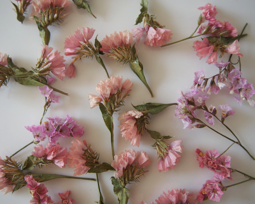 1c8794e77b41eeba8853ebe8427d1b