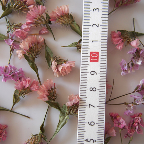 ドライフラワー スターチス アンティークset キャンドル ハー