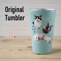 うちの子 サータンブラー550ml ♥父の日プレゼントに♥犬　猫　うさぎOK 3枚目の画像