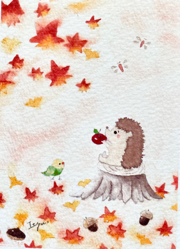 透明水彩画　2枚セット「ハリネズミくんの秋」ミニカード　メッセージカード　バースデーカード　はりねずみ　インコ　秋　紅葉 2枚目の画像