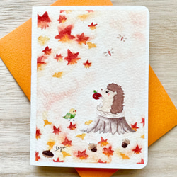 透明水彩画　2枚セット「ハリネズミくんの秋」ミニカード　メッセージカード　バースデーカード　はりねずみ　インコ　秋　紅葉 1枚目の画像