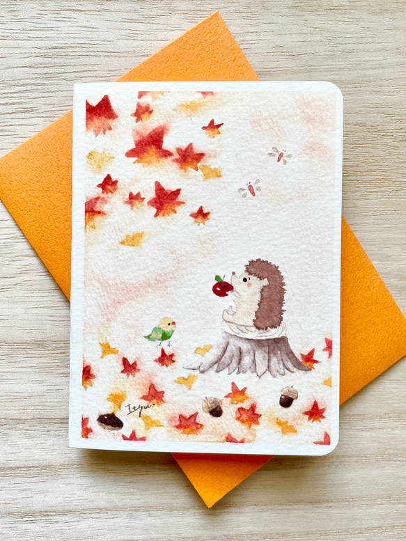 透明水彩画　2枚セット「ハリネズミくんの秋」ミニカード　メッセージカード　バースデーカード　はりねずみ　インコ　秋　紅葉 1枚目の画像