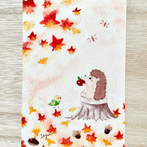 透明水彩画 3枚セット「ハリネズミくんの秋」ポストカード イラスト