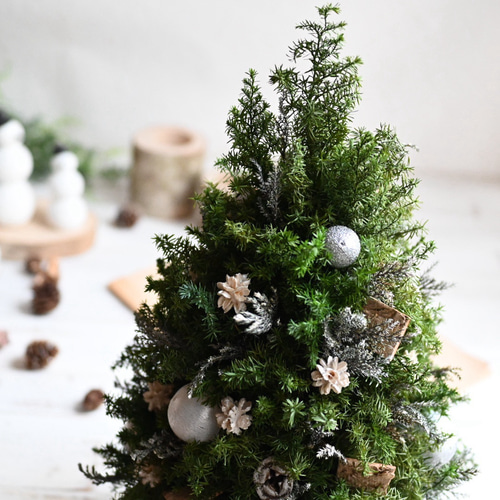 ミントグリーン クリスマスツリー 約30cm必ずプロフ読んでください❣️ 静かな森のクリスマスツリー＊37cm＊プリザーブド卓上サイズ