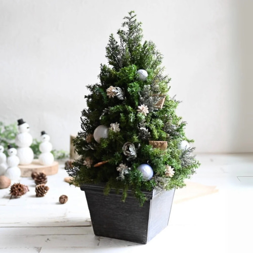 静かな森のクリスマスツリー＊37cm＊プリザーブド卓上サイズ