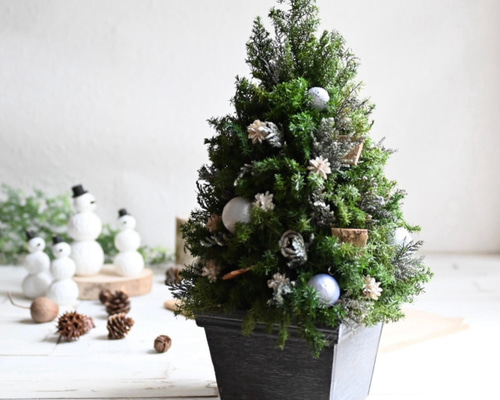 小さな魔女の棲む森 ～Trulli～(トゥルッリ)】クリスマスツリー 小さな