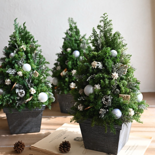 しずくさま専用ページ☆コニファーのクリスマスツリー プリザーブド 森のクリスマスツリー金・銀」のセット プリザーブドフラワー